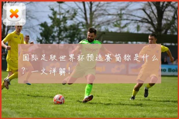 国际足联世界杯预选赛简称是什么？一文详解！
