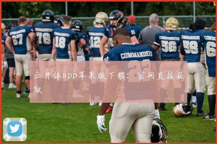 云开体app苹果版下载：官网直接获取