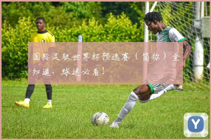 国际足联世界杯预选赛（简称）全知道，球迷必看！