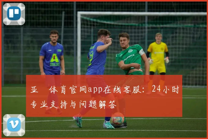 亚愽体育官网app在线客服：24小时专业支持与问题解答