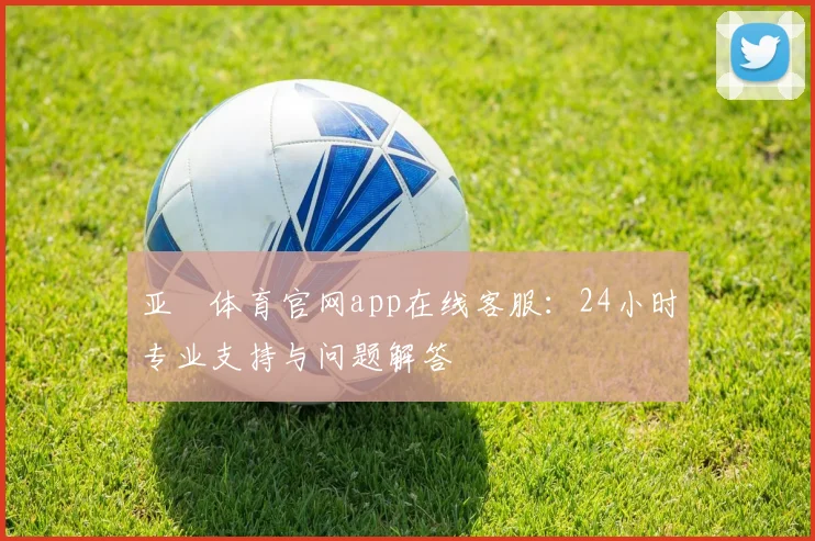 亚愽体育官网app在线客服：24小时专业支持与问题解答