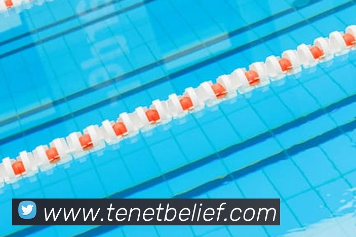 体育直播在线观看免费观看足球发展历程